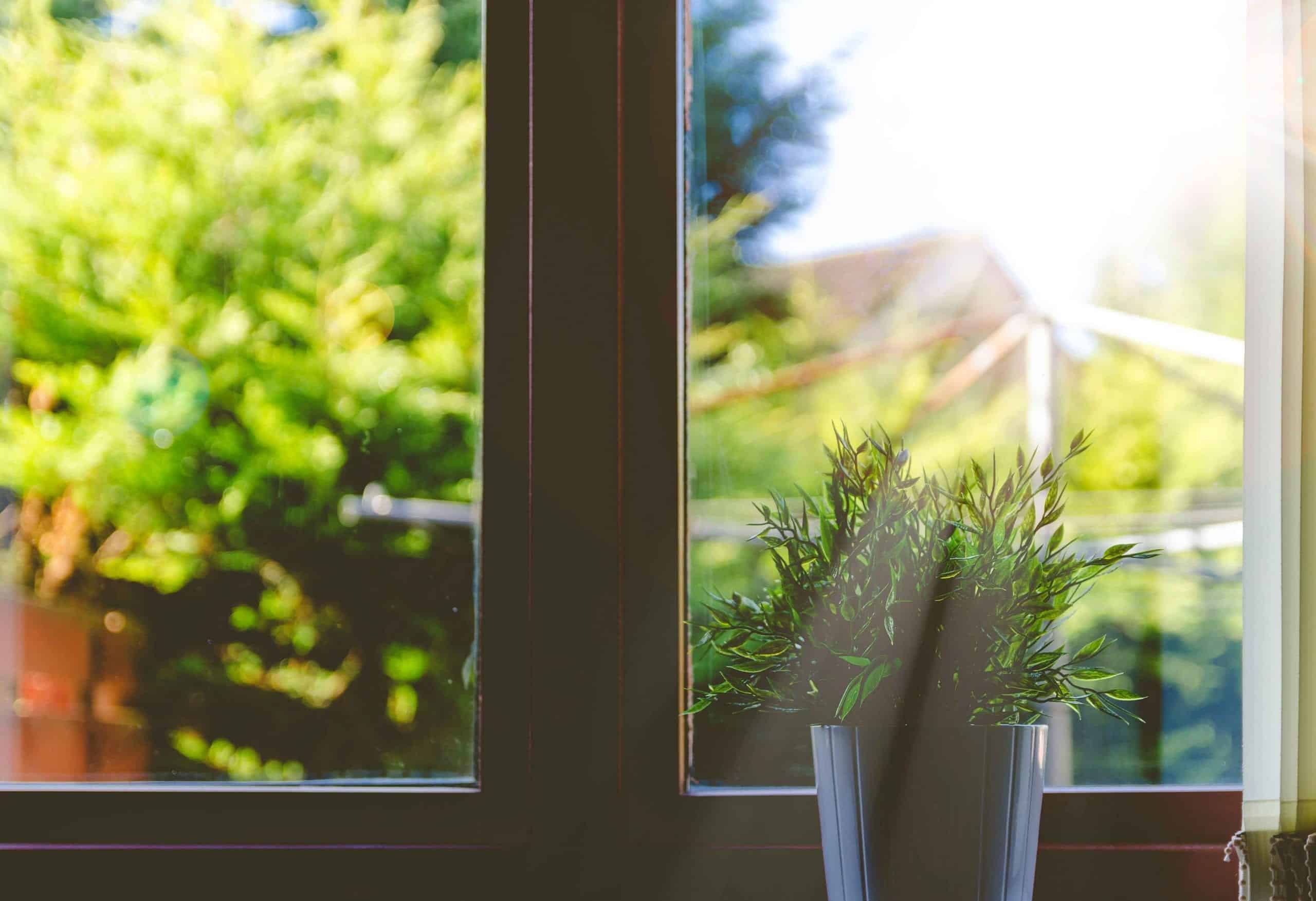 closed window in a home with a small plant in front of it, sun shining through